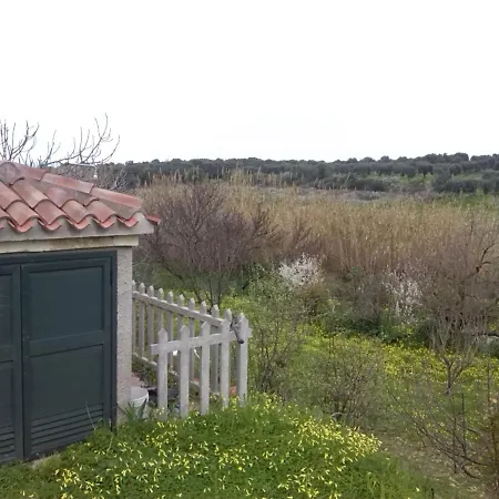 Tirso - Iun S8237 Sorso