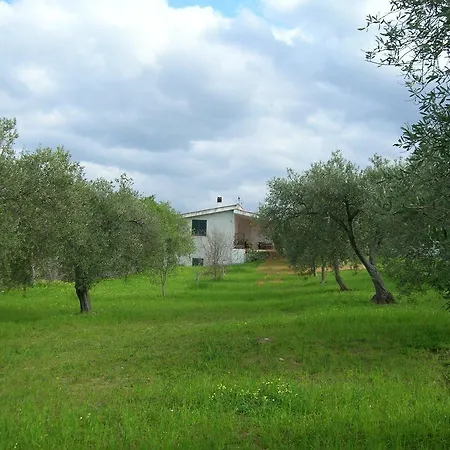 Tirso - Iun S8237 索尔索