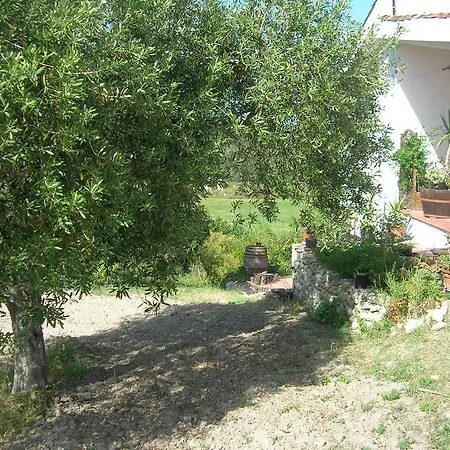 Tirso - Iun S8237 Holiday home Sorso
